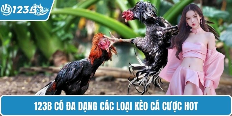 123B có đa dạng các loại kèo cá cược hot