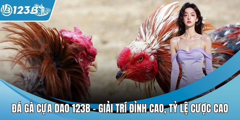 Đá gà cựa dao