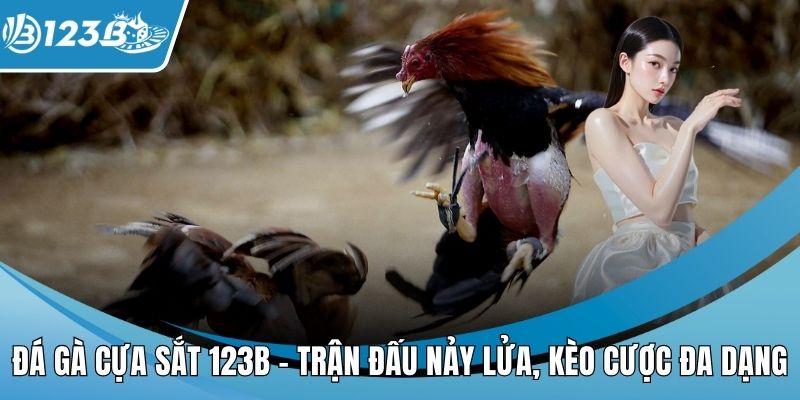 Đá gà cựa sắt