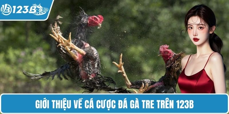 Giới thiệu về cá cược đá gà tre trên 123B