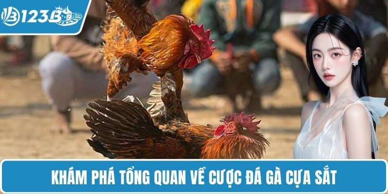 Khám phá tổng quan về cược đá gà cựa sắt