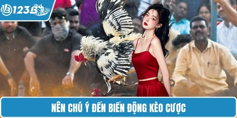 Nên chú ý đến biến động kèo cược