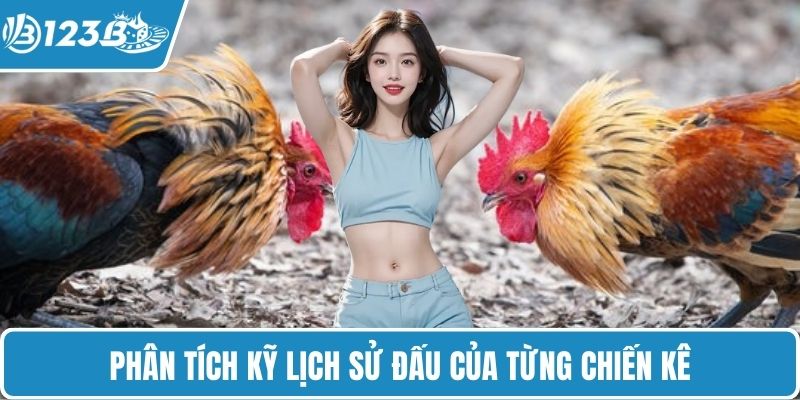 Phân tích kỹ lịch sử đấu của từng chiến kê