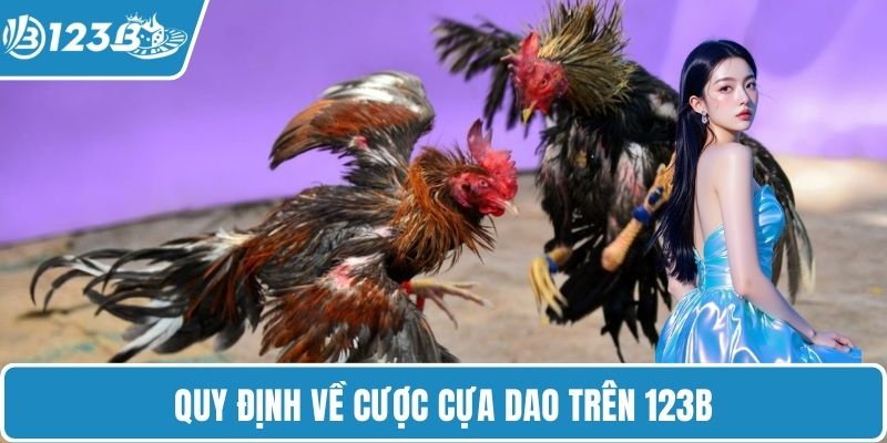 Quy định về cược cựa dao trên 123B